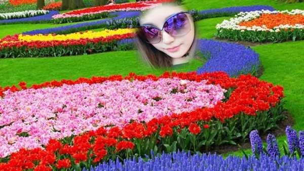 Garden Photo Frames screenshot 8