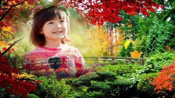 Garden Photo Frames screenshot 9
