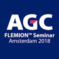 FLEMION Seminar Amsterdam 2018