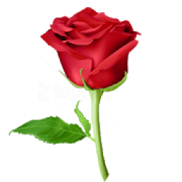 ikon WAStickerApps - Flowers * Roses