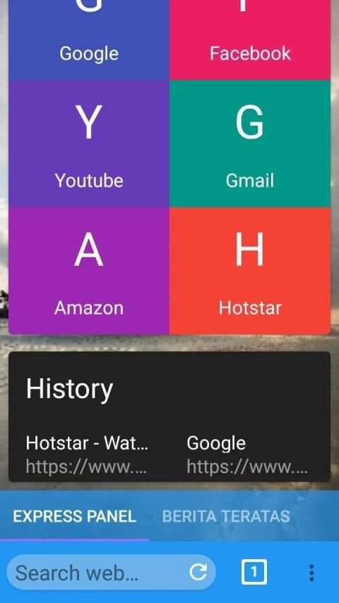 Googs Browser screenshot 4