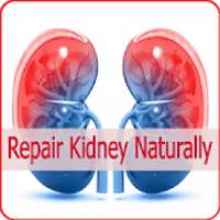 Repair Kidney Naturally 2019