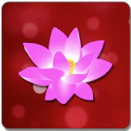 Law Of Attraction 1.0.5