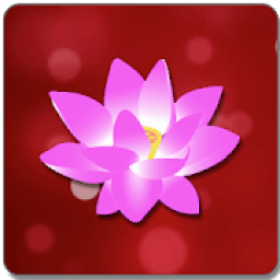 ikon Law of Attraction Space