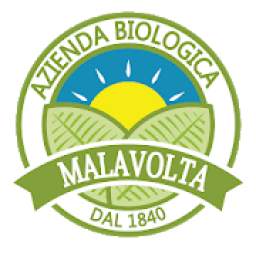 Bio Malavolta - Market Biologico