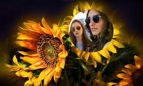 Sun Flower Photo Frame screenshot 1