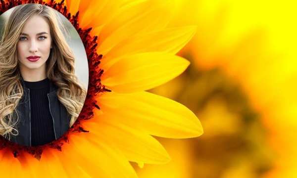 Sun Flower Photo Frame screenshot 4