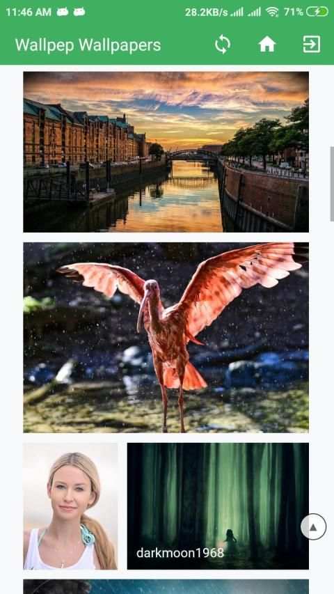 Wallpep - Free Wallpapers स्क्रीनशॉट 3