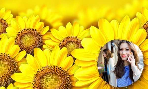 Sun Flower Photo Frame screenshot 2