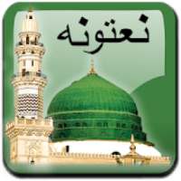 Pashto Naats on 9Apps