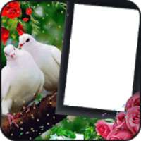 Love Birds Photo Frame