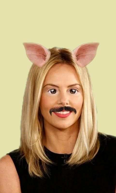 Funny Photo Effects: Face Editor & Face Changer screenshot 5