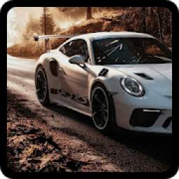 City Car Driving 2019 3.1.8z