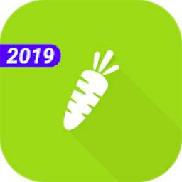 Diet 2019 - lose weight and stay healthy *