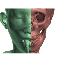 ikon CT Scan Viewer 3D