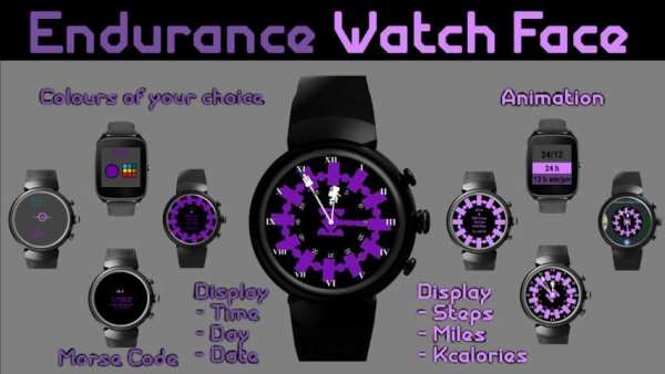 Endurance Watch Face screenshot 2