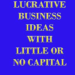 LUCRATIVE BUSINESS IDEAS WITH LITTLE OR NO CAPITAL