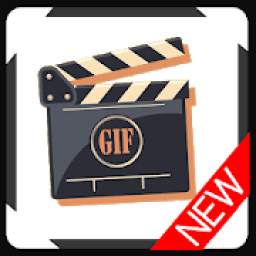 Video To GIF 1.0