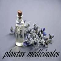 Plantas Medicinales 2019