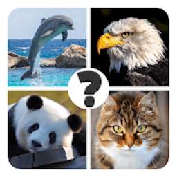 Animals quiz: The best trivia quiz games