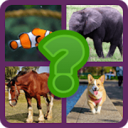 Guess Animal Names Kostenlos icon