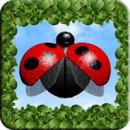 LadyBug Shooter X