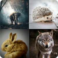 Animals Quiz - Learn animals