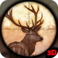 Hunting Animals Challenges - Sniper Hunting Game