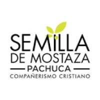 Semilla Pachuca on 9Apps