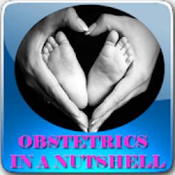Obstetrics in a Nutshell