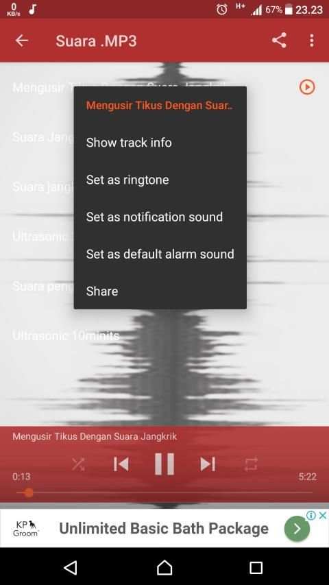 Suara Pengusir Tikus dan Nyamuk screenshot 2