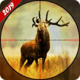 Deer Hunting 2019