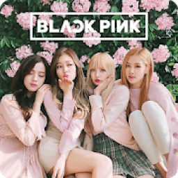 Nic on Blackpink Chibi HD phone wallpaper  Pxfuel