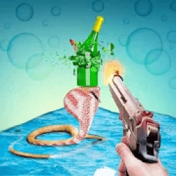 Grand Bottle Shooting icon