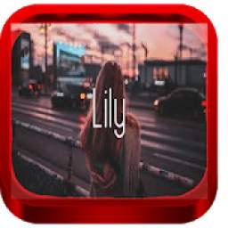 Lily - Alan Walker 1.6