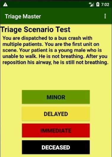 Triage Master screenshot 3