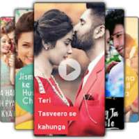 Full screen video status