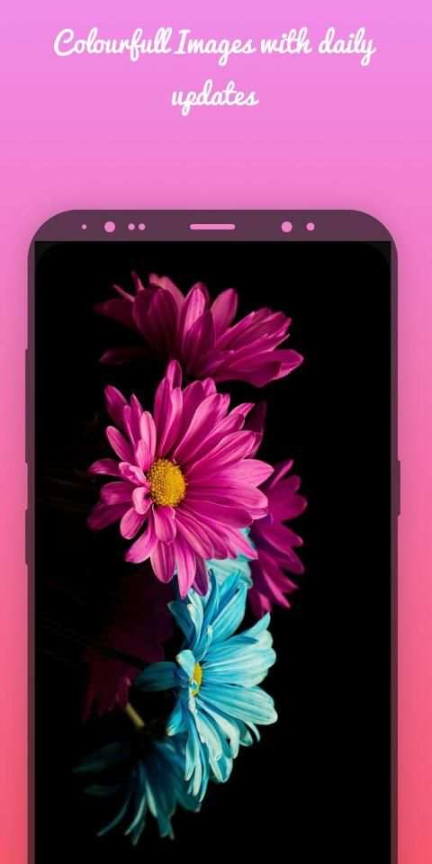 4k wallpapers (HD wallpapers) स्क्रीनशॉट 12