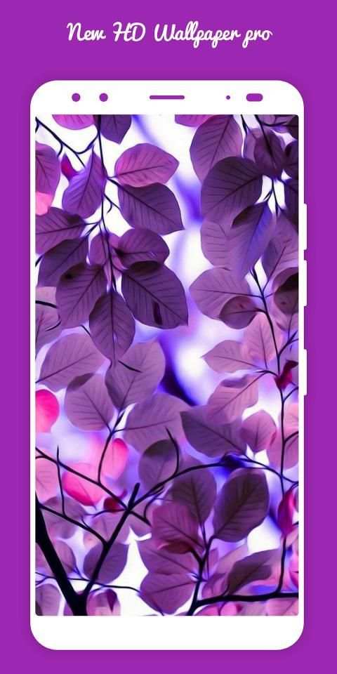 4k wallpapers (HD wallpapers) स्क्रीनशॉट 2