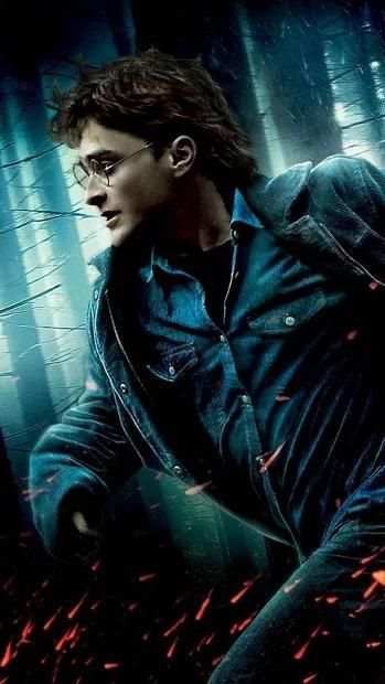 Harry Potter Hd Wallpapers screenshot 2