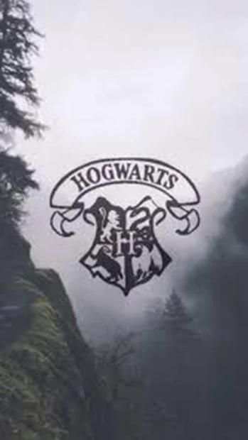 Harry Potter Hd Wallpapers screenshot 3