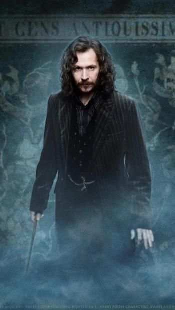 Harry Potter Hd Wallpapers screenshot 4