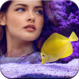 3D Underwater Frames for Pictures