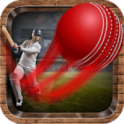 Onegame Cricket 2019 आइकन