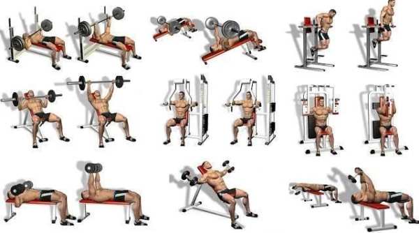 Best Chest Workout Free screenshot 4