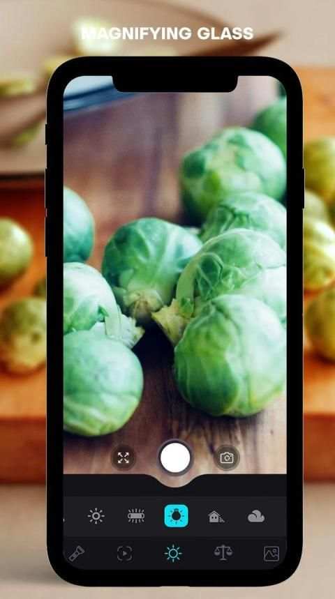 Magnifying Glass Camera स्क्रीनशॉट 1