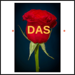 ikon Diaspora African Singles