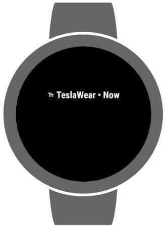 TeslaWear screenshot 1