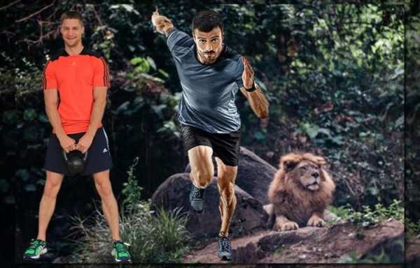 Lion Photo Editor: Tigers Photo Editor स्क्रीनशॉट 2