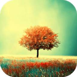 Awesome-Land Live wallpaper HD : Grow more trees